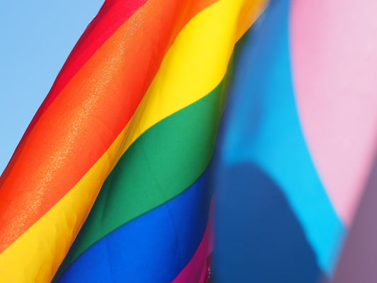 What is SOGIE? How does the SOGIE Bill affect the straight majority?